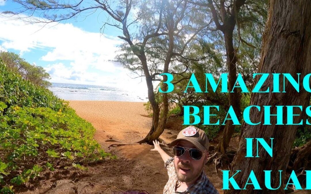 Kauai Hawaii Beaches To Swim Snorkel Boogie Board Stand Up Paddle Board Sup Surf Sunbathe 1