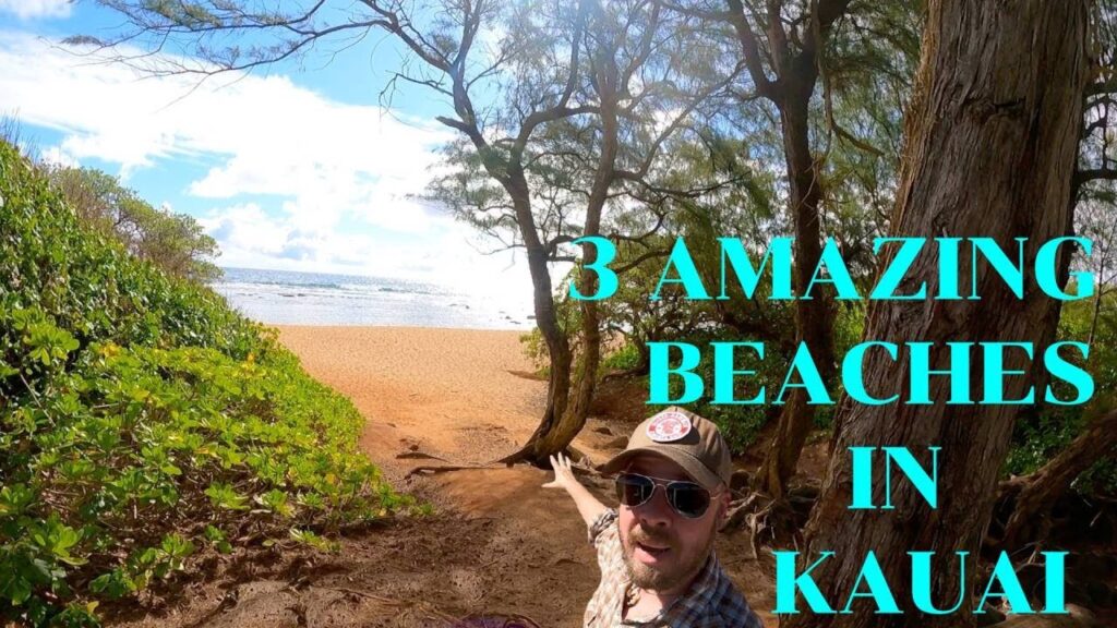Kauai Hawaii Beaches to swim, snorkel,  boogie board, stand up paddle board (sup)  surf  sunbathe.