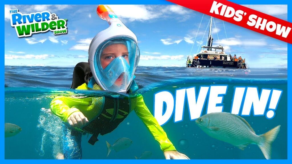 Kids Sail and Snorkel in Kauai - See Dolphins, Turtles and Tropical Fish! Kids Sail and Snorkel in Kauai - See Dolphins, Turtles and Tropical Fish!