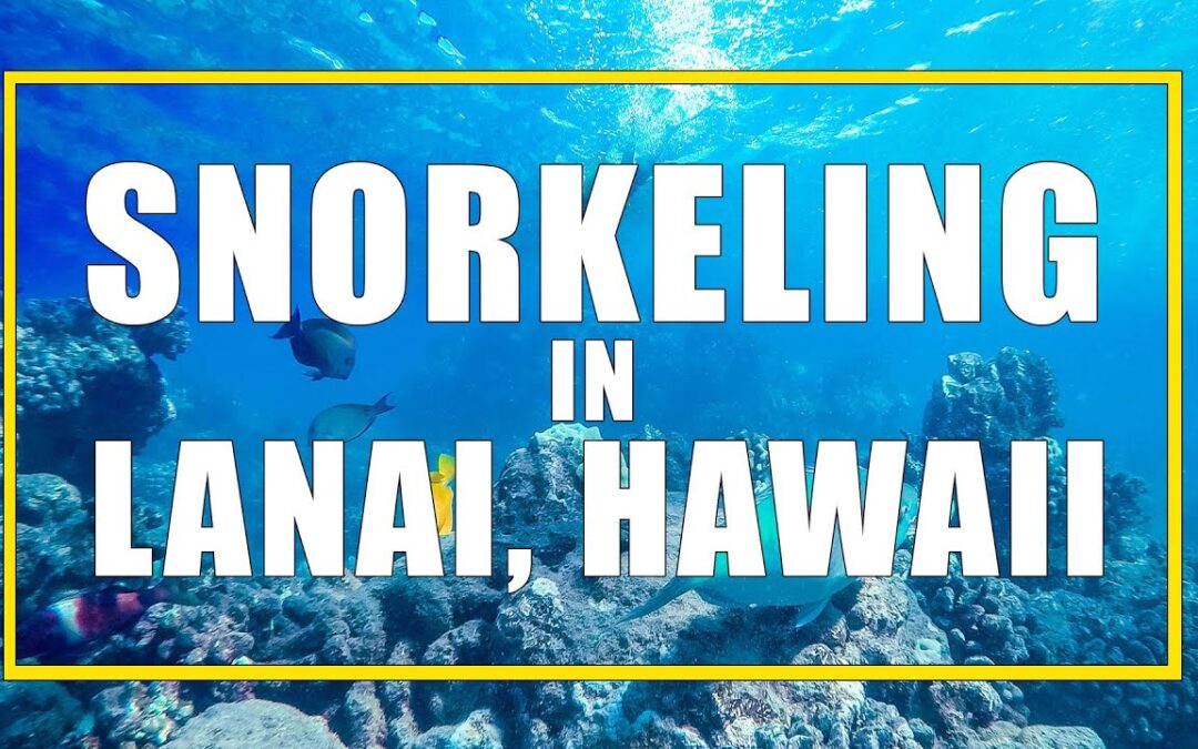 Lanai Snorkelling From Maui with Trilogy