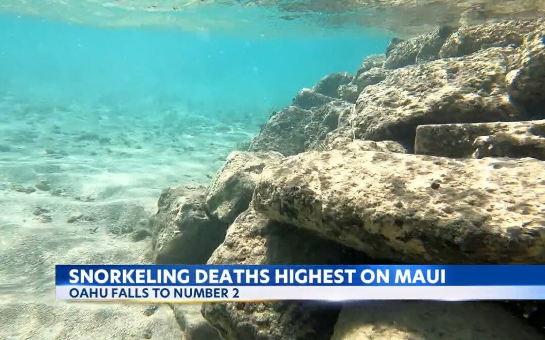 Maui Has Highest Number Of Snorkeling Deaths In Hawaii 1
