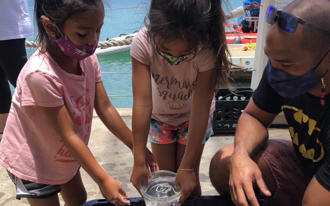 Maui Nui Marine Resource Council presents ‘Know Your Ocean Speaker Seriesʻ on coral restoration