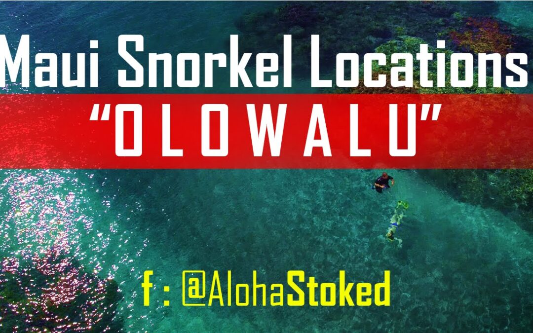 Maui Snorkel Locations Olowalu 1