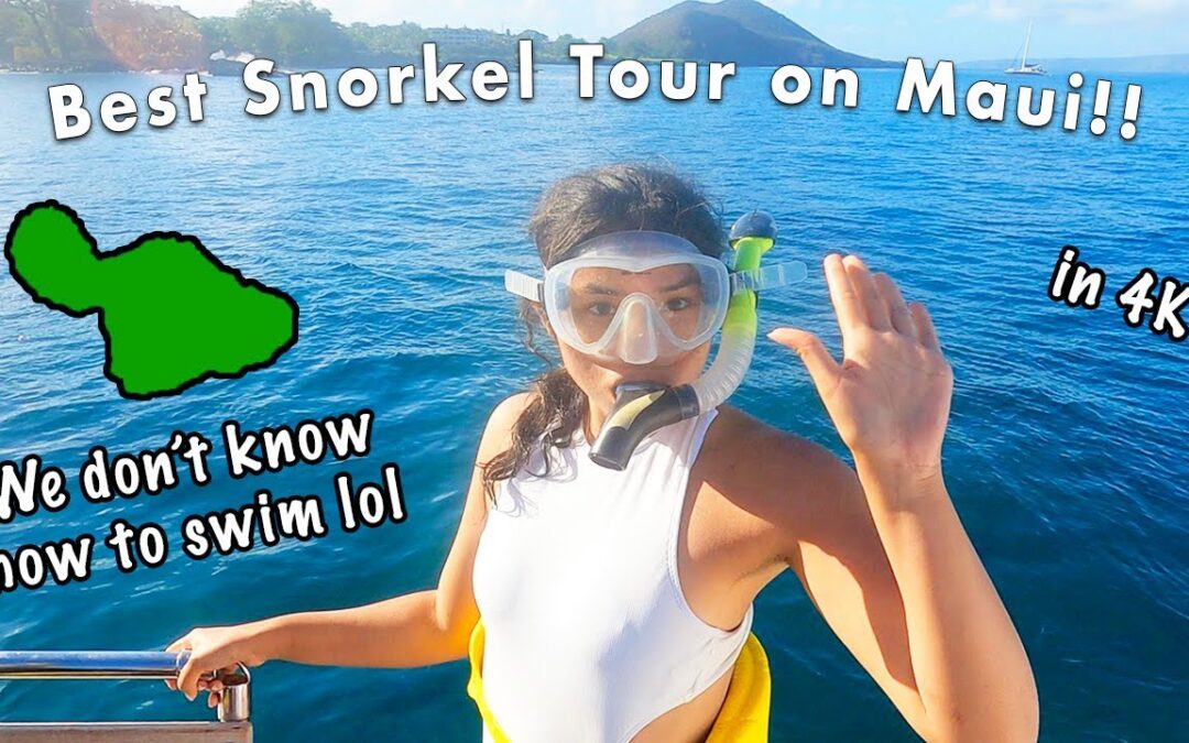 Maui Snorkeling Molokini Turtle Town With Malalo 4k 1