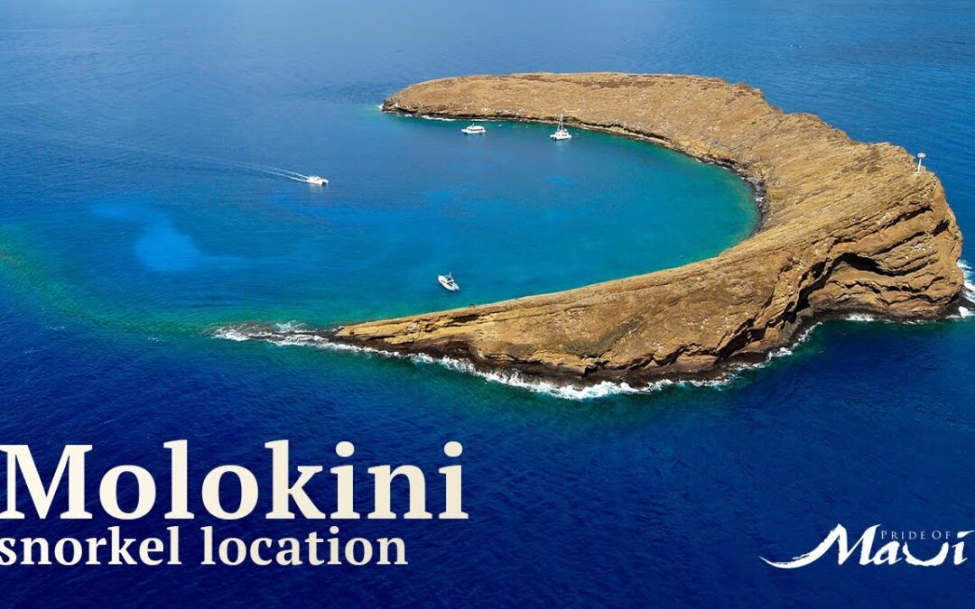 Molokini Crater Snorkeling Pride Of Maui Snorkel Locations 1