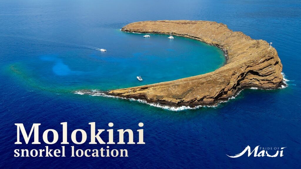 Molokini Crater Snorkeling | Pride of Maui Snorkel Locations
