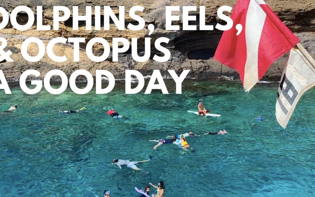 Molokini Snorkeling Tour Maui Is A Molokini Crater Snorkel Trip Worth It 1