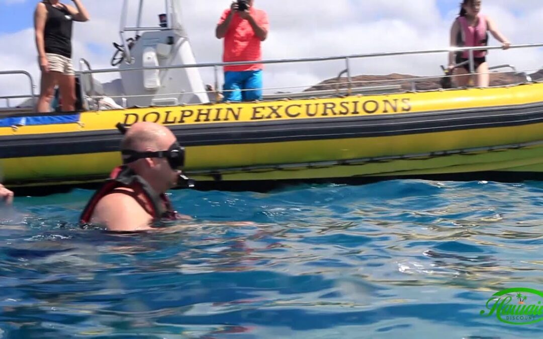 Oahu Wild Dolphin Swim and Snorkel Excursions