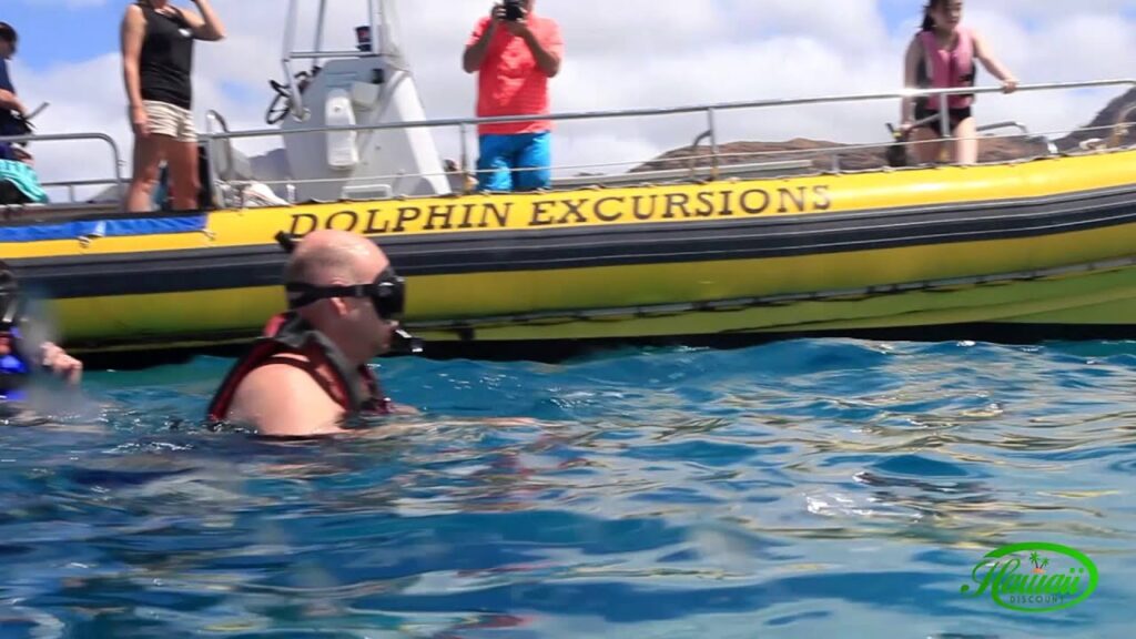 Oahu Wild Dolphin Swim and Snorkel Excursions