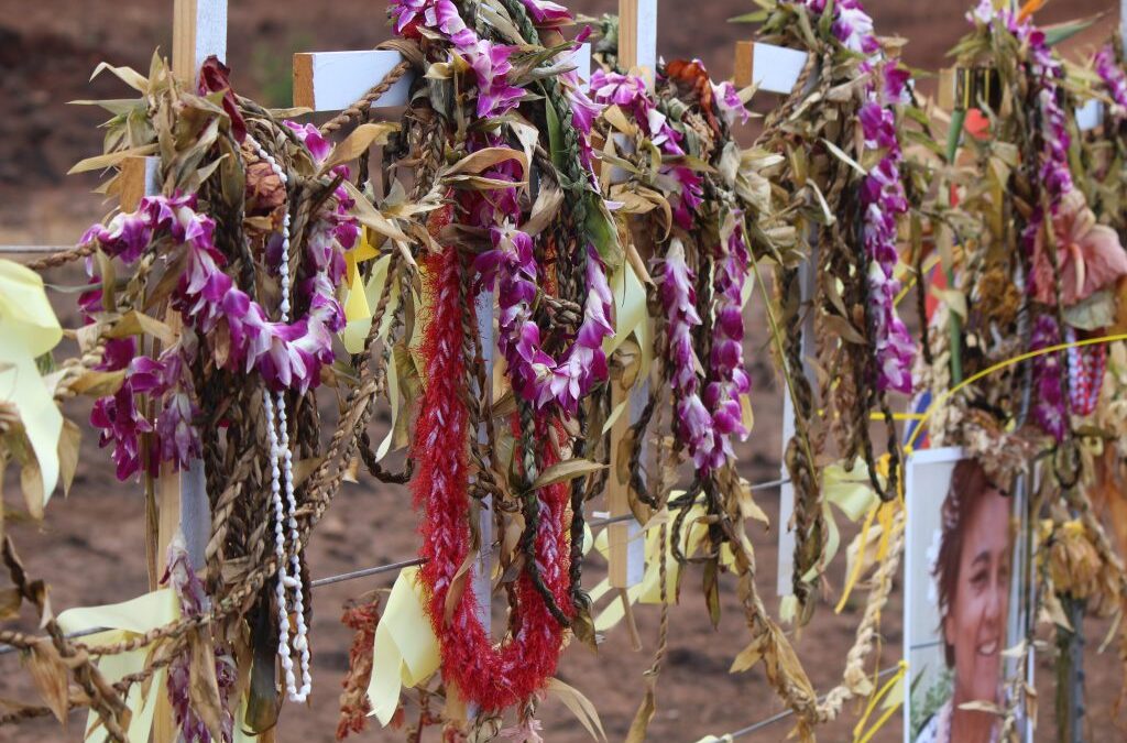 One more Lahaina fire victim identified by police: death toll is 98, unaccounted for is 12