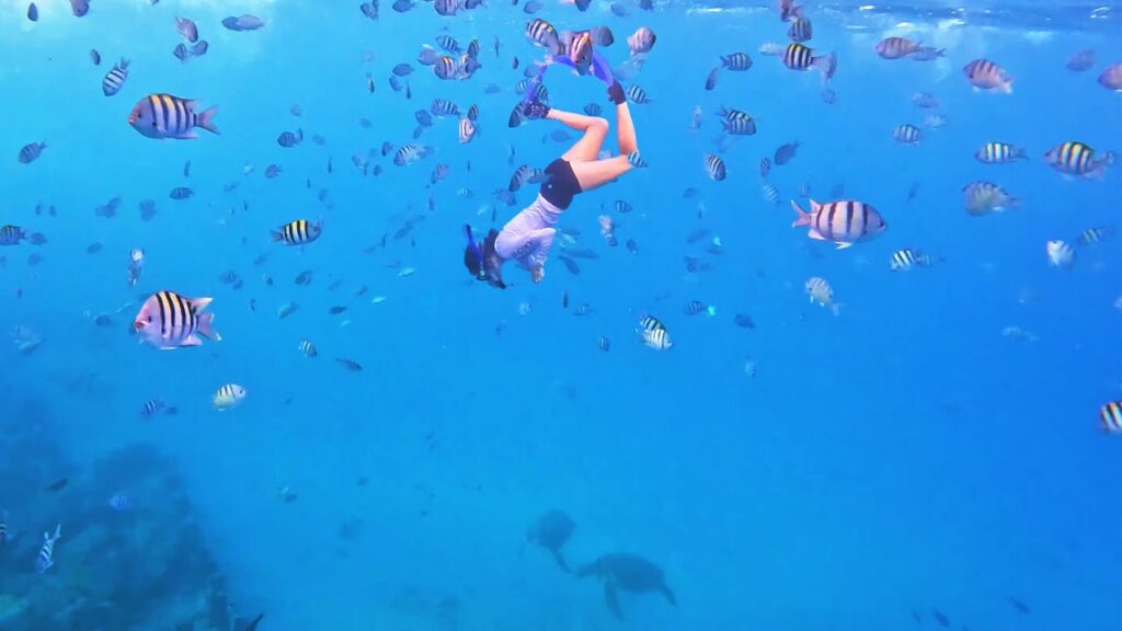 Snorkeling Electric Beach Oahu (Kahe) and Eating the Best Manapuas from Honolulu Kitchen - Hawaii