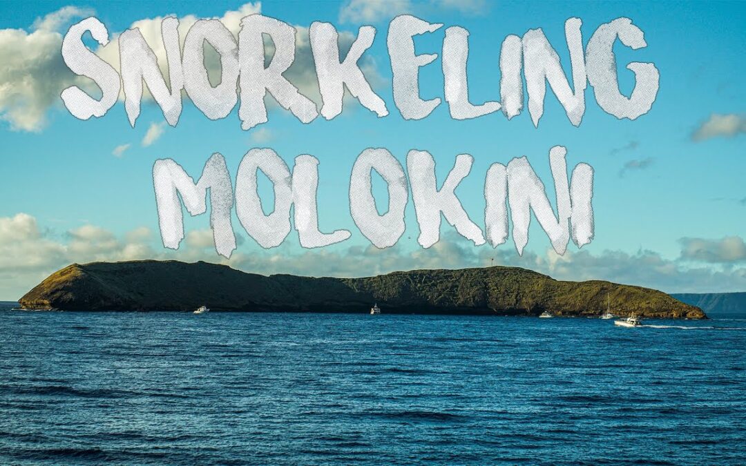 Snorkeling Molokini Hawaii 4k Calypso Adventures Maui 1