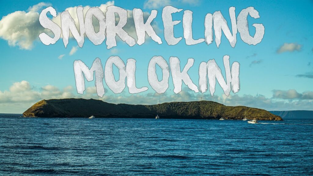 Snorkeling Molokini, Hawaii! 4K (Calypso Adventures, Maui)