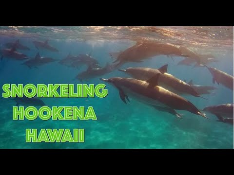 Snorkeling Review – Ho’okena Beach, Hawaii (Big Island)