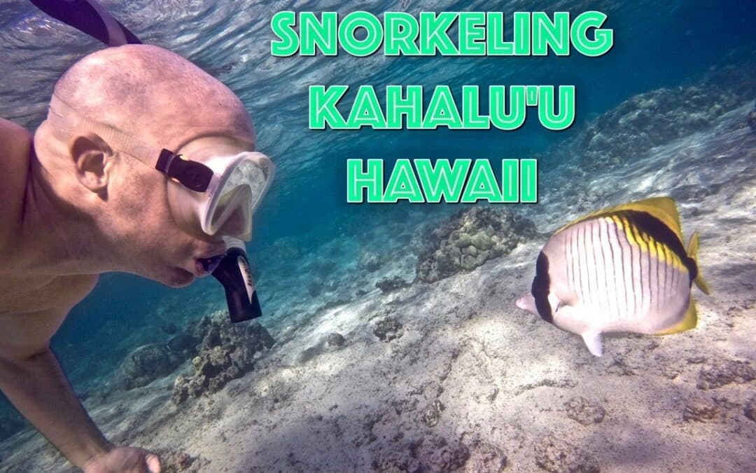 Snorkeling Review – Kahalu’u Beach Park, Hawaii (Big Island)