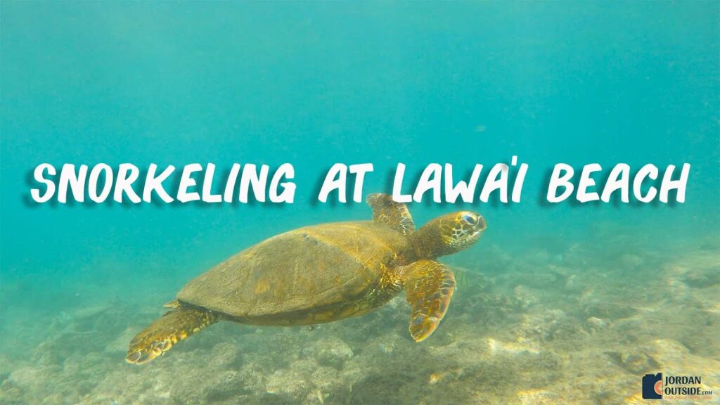 The best snorkeling at Lawai Beach on the south side of Kauai, Hawaii