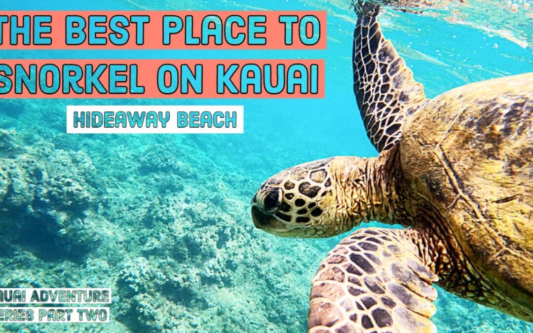 The Best Snorkeling On Kauai Hideaway Beach On The North Shore Of Kauai Hawaii 2