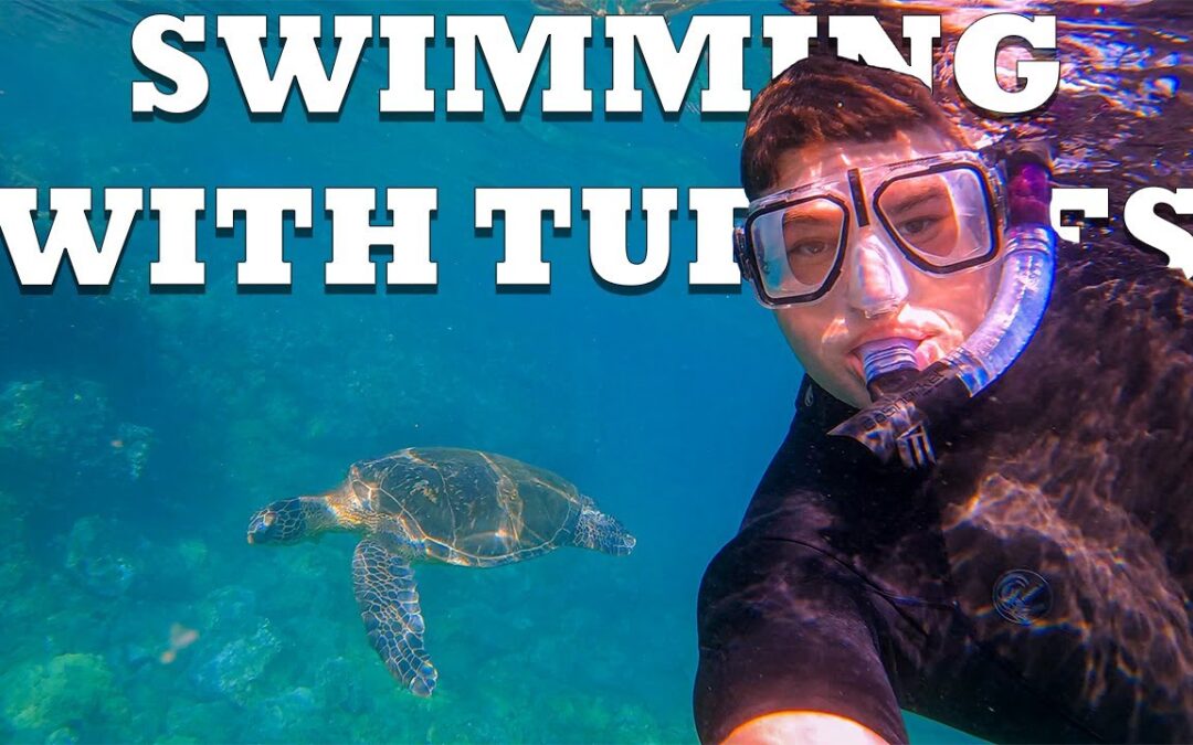 Turtle Town Snorkeling – Makena Landing, Maui