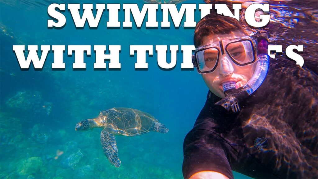 Turtle Town Snorkeling - Makena Landing, Maui