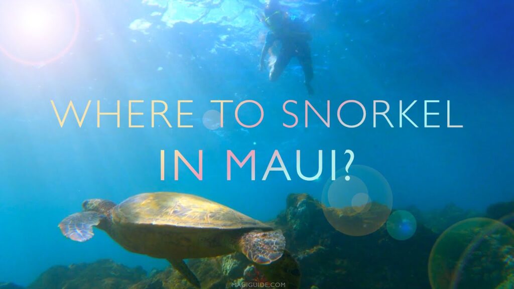 Where to Snorkel in Maui, Hawaii | Ulua / Mokapu Snorkeling Scuba Where to Snorkel in Maui, Hawaii | Ulua / Mokapu Snorkeling Scuba