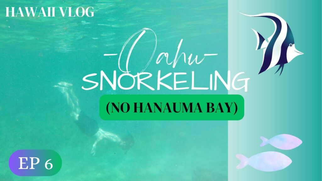 Where you can Snorkel in Oahu, Hawaii (Ep. 6)