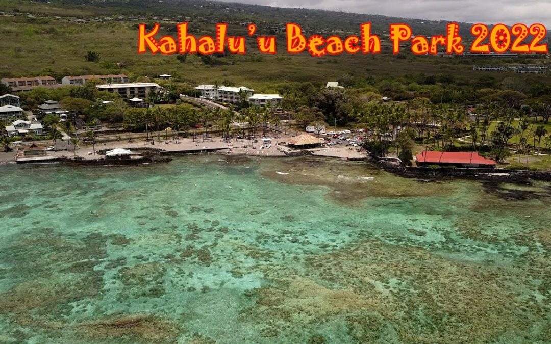 Best Places On The Big Island Kahaluu Beach Park Snorkeling And Surfing 1