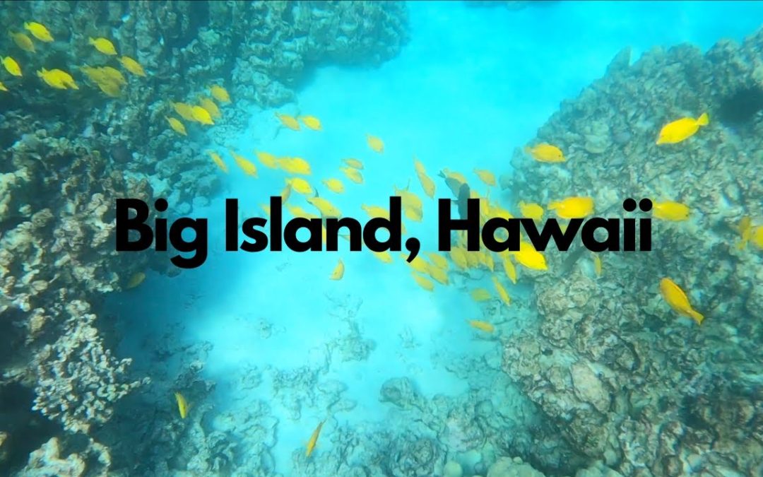 Best Snorkeling Spot In Hawaii Two Step Big Island 1