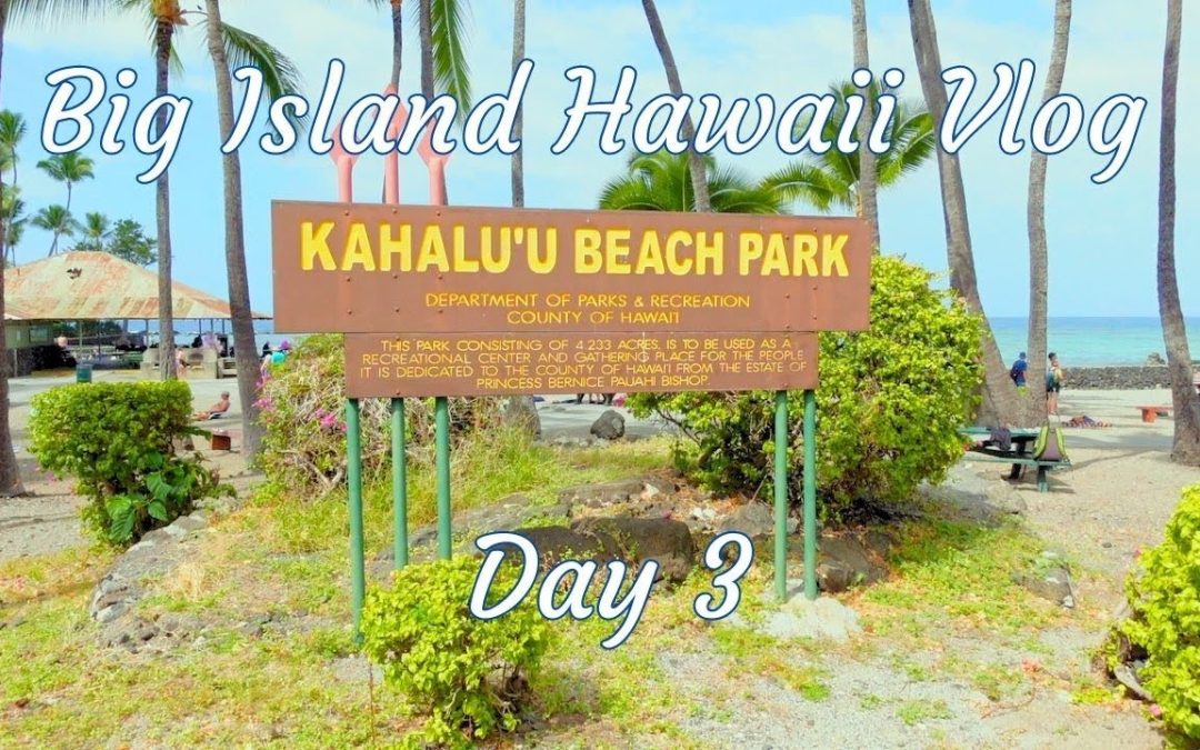 Big Islands Best Snorkeling Happy Hour Spot Hawaii Adventures Day 3 1