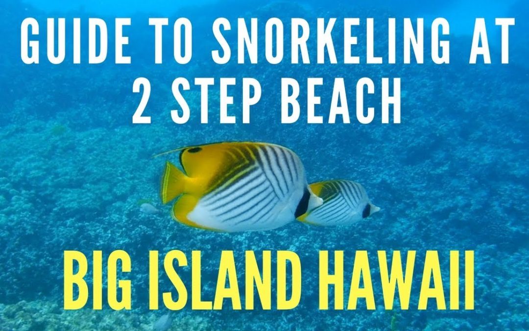 Guide To Snorkeling At 2 Step Beach Big Island Hawaii Guides 1