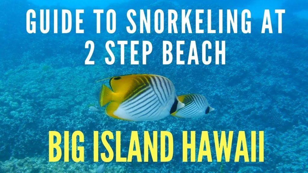 Guide To Snorkeling at 2 Step Beach - Big Island Hawaii Guides