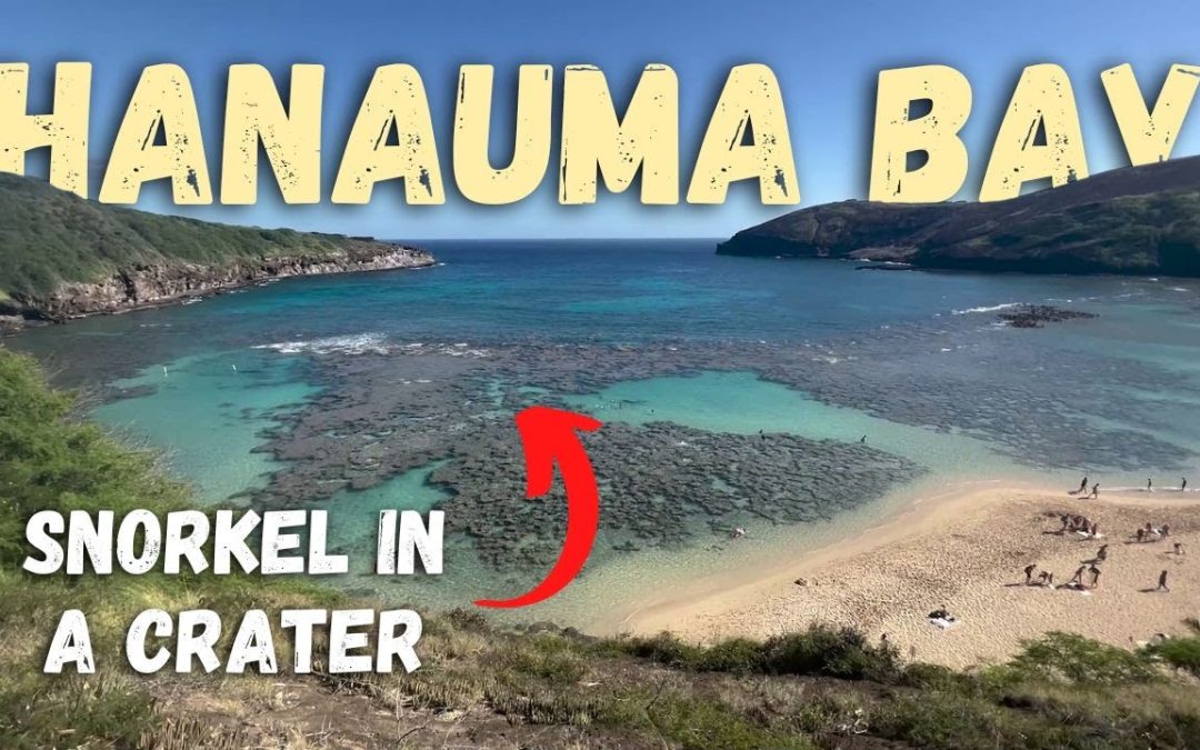 Hanauma Bay Adventure | Luckiest Day Ever Snorkeling at Hanauma Bay