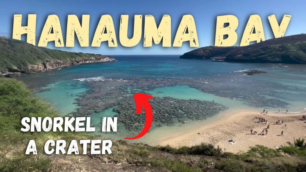 Hanauma Bay Adventure | Luckiest Day Ever Snorkeling at Hanauma Bay Hanauma Bay Adventure | Luckiest Day Ever Snorkeling at Hanauma Bay