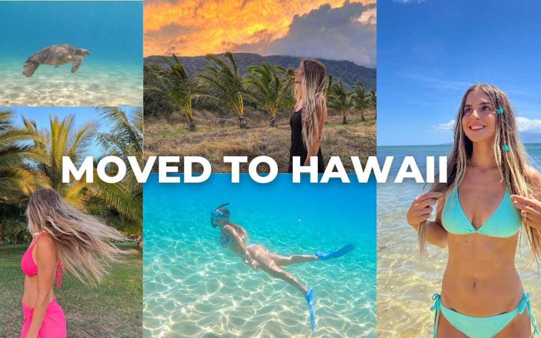 Living In Hawaii In My 20s Maui Snorkeling Beach Lifestyle 1