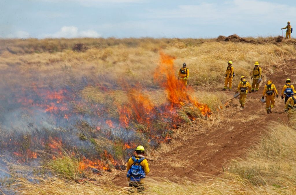 Maui Fire Department wildland training, Nov. 1