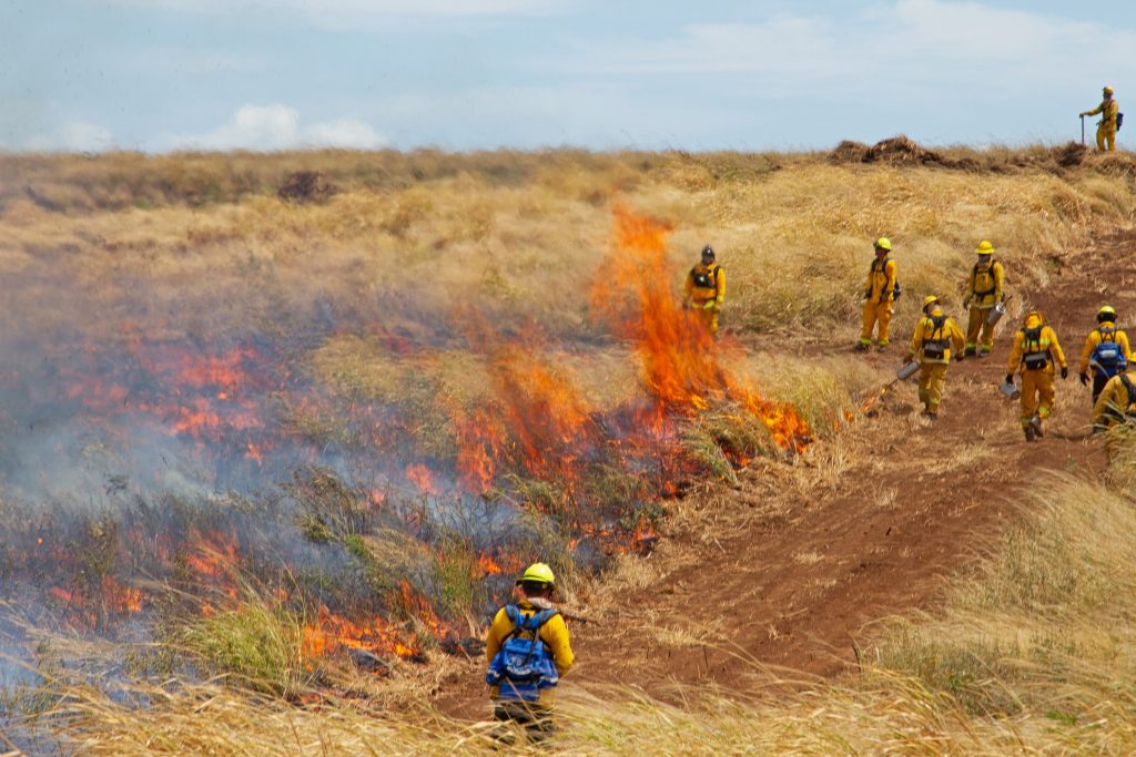 Maui Fire Department wildland training, Nov. 1