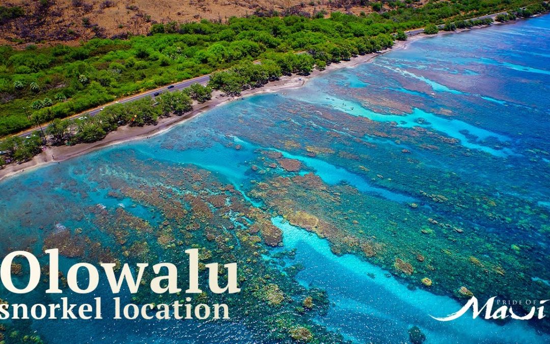 Olowalu Pride Of Maui Snorkel Locations 1