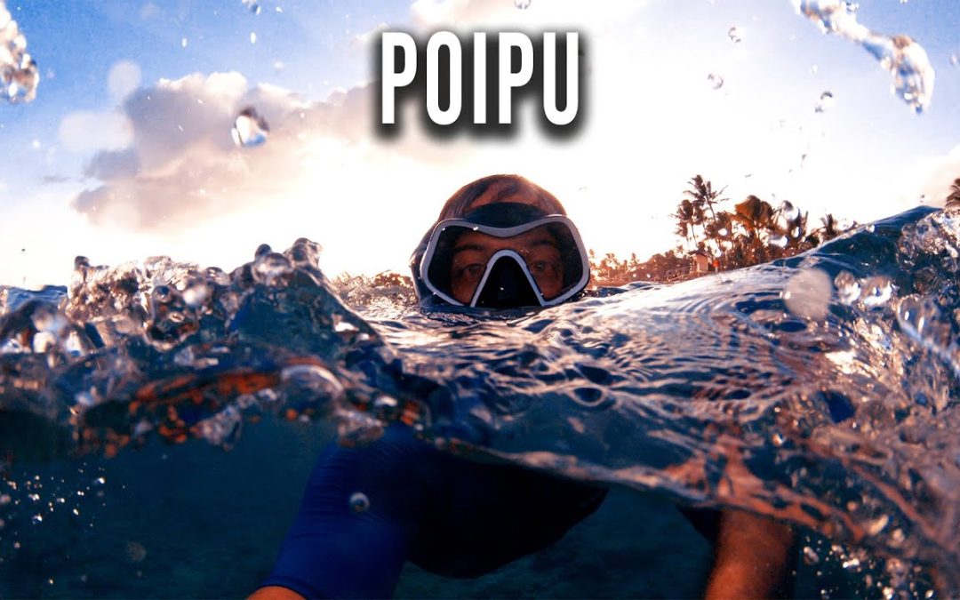 Poipu Beach Snorkeling Hawaii Kauai 1