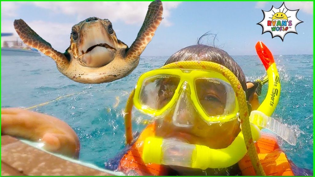 Ryans Snorkeling in the Ocean with Turtles! Ryans Snorkeling in the Ocean with Turtles!