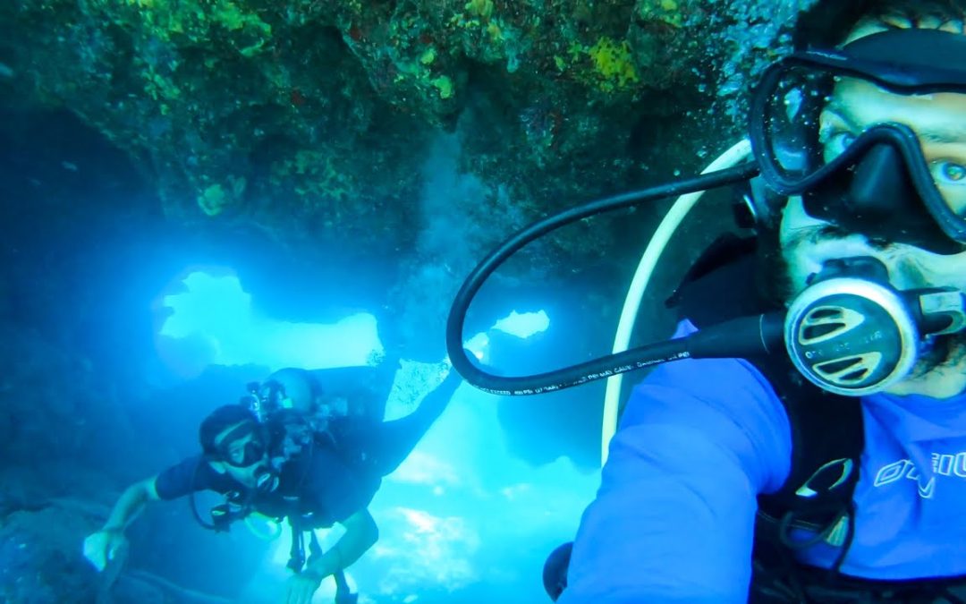 Scuba Diving Caves Sharks Cove North Shore Oahu Hawaii For The First Time 1