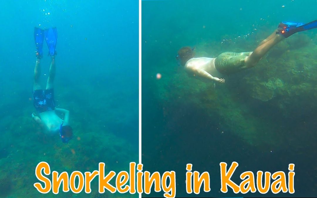 Snorkeling At Tunnels Beach Kauai Hawaii 1