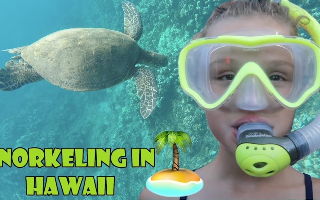 Snorkeling In Hawaii Wk 3435 Bratayley 1