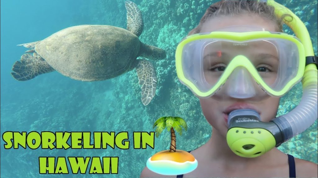 Snorkeling in Hawaii 🏝 (WK 343.5) | Bratayley