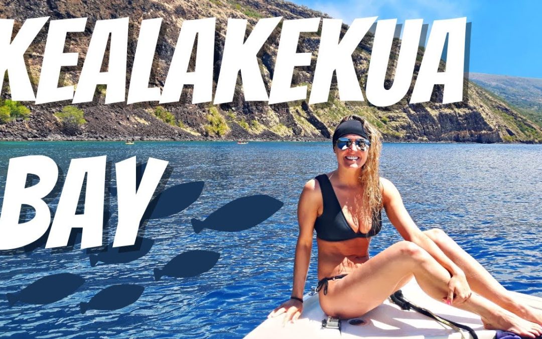 Top Snorkel Spots In Hawaii Captain James Cook Monument Snorkelling At Kealakekua Bay Big Island 1