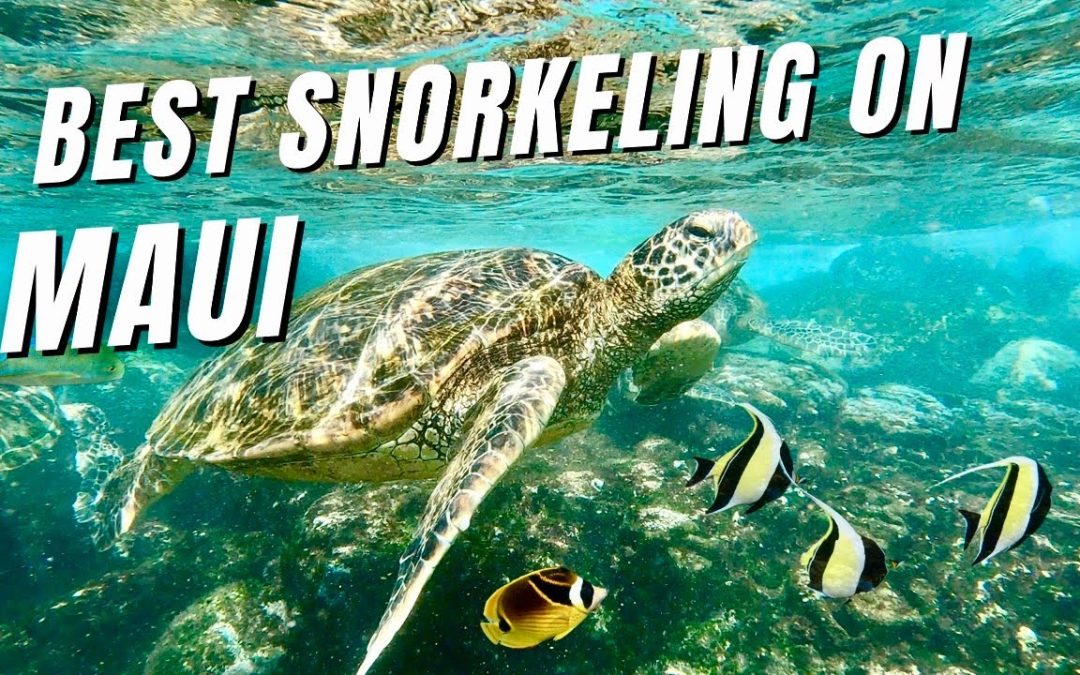 Where To Snorkel On Maui Hawaii Top 3 Maui Snorkel Spots Hawaii Family Vacation Vlog Hawaii 1