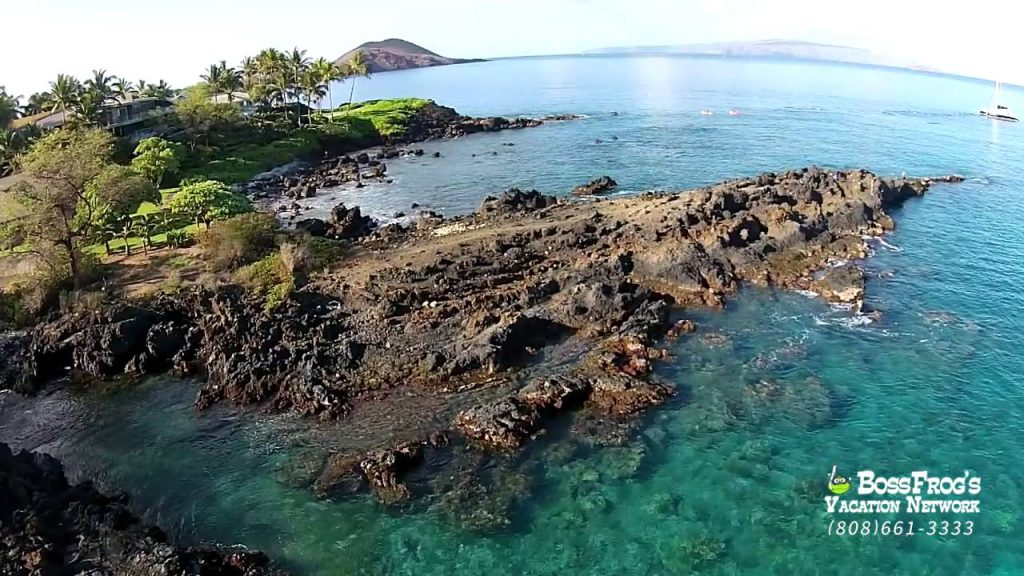 5 Caves 5 Graves Snorkeling with Boss Frogs