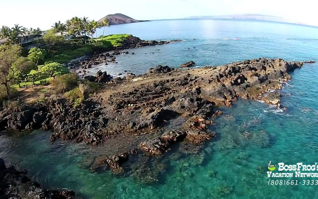 5 Caves 5 Graves Snorkeling with Boss Frog’s