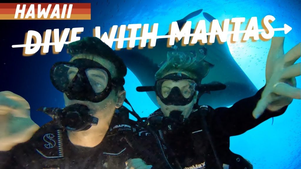 DIVING WITH MANTA RAYS IN HAWAII [Hawaii Big Island Vlog]
