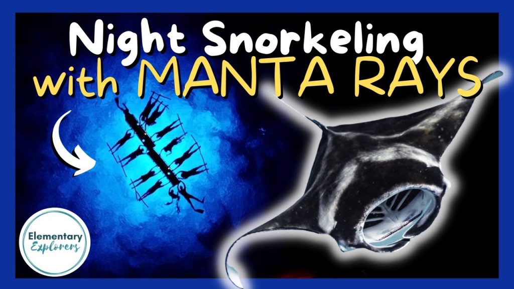 KIDS Snorkel with Manta Rays -AT NIGHT!- Night Manta Ray Snorkel Trip- Hawaii Oceanic - Kona, Hawaii