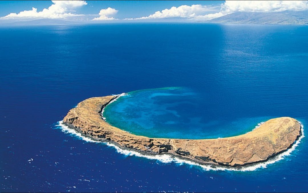 Maui Small Group Molokini Snorkel And Green Sea Turtle Adventure From Maui 2