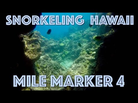 Snorkeling Review Mile Marker 4 Hawaii Big Island 2